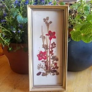 Vintage Framed Pressed Flower